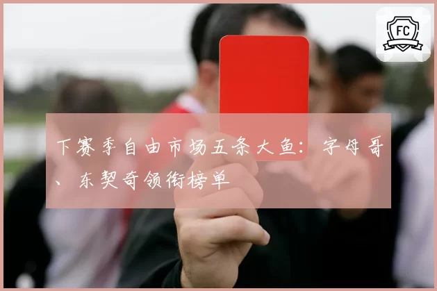 下赛季自由市场五条大鱼：字母哥、东契奇领衔榜单