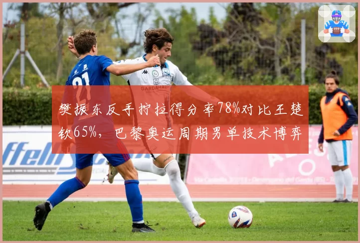 樊振东反手拧拉得分率78%对比王楚钦65%，巴黎奥运周期男单技术博弈新格局