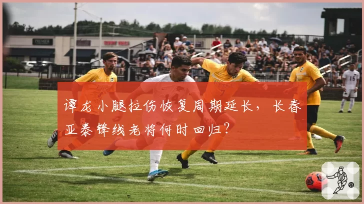 谭龙小腿拉伤恢复周期延长，长春亚泰锋线老将何时回归？